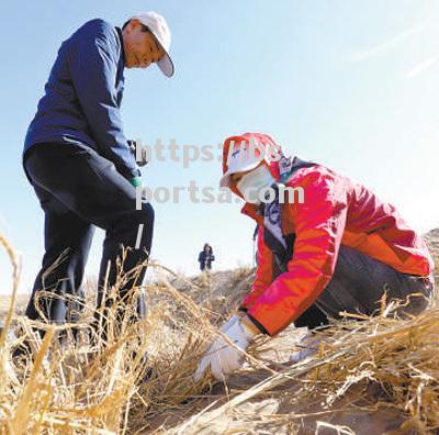 沙漠之战打响，主场优势成关键